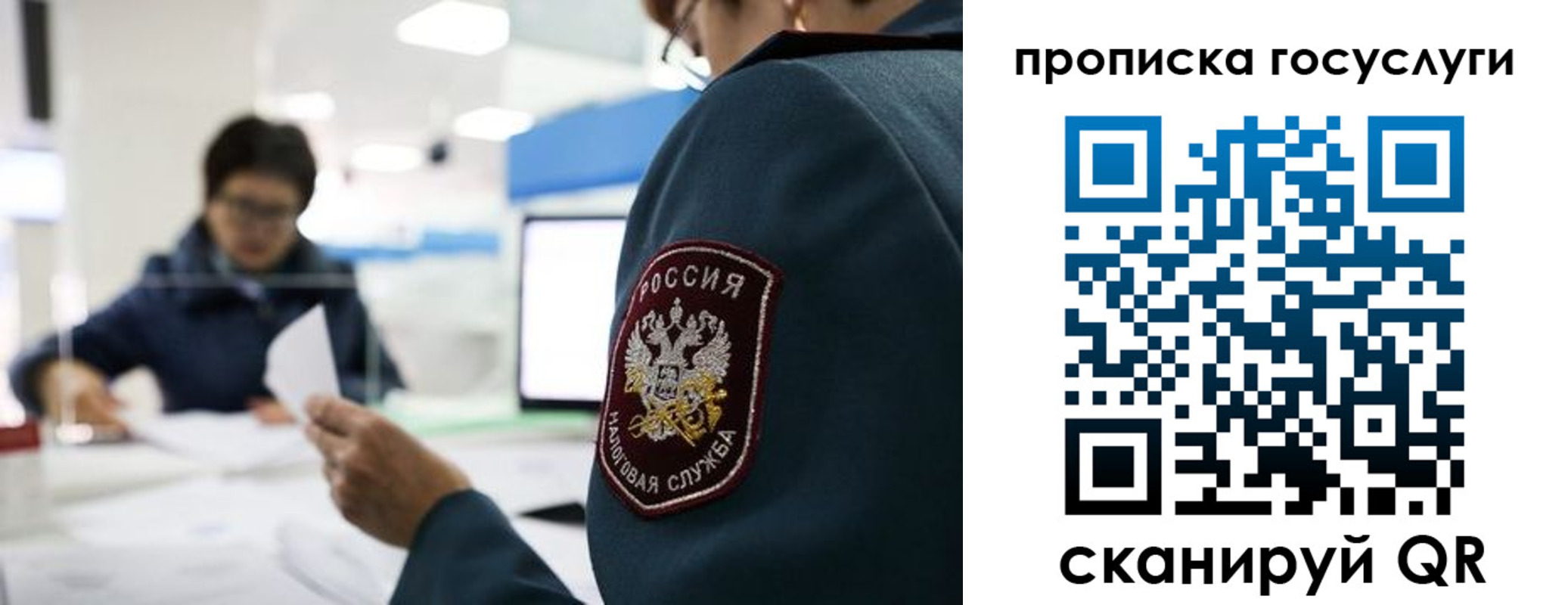 где прописаться в Богородицке